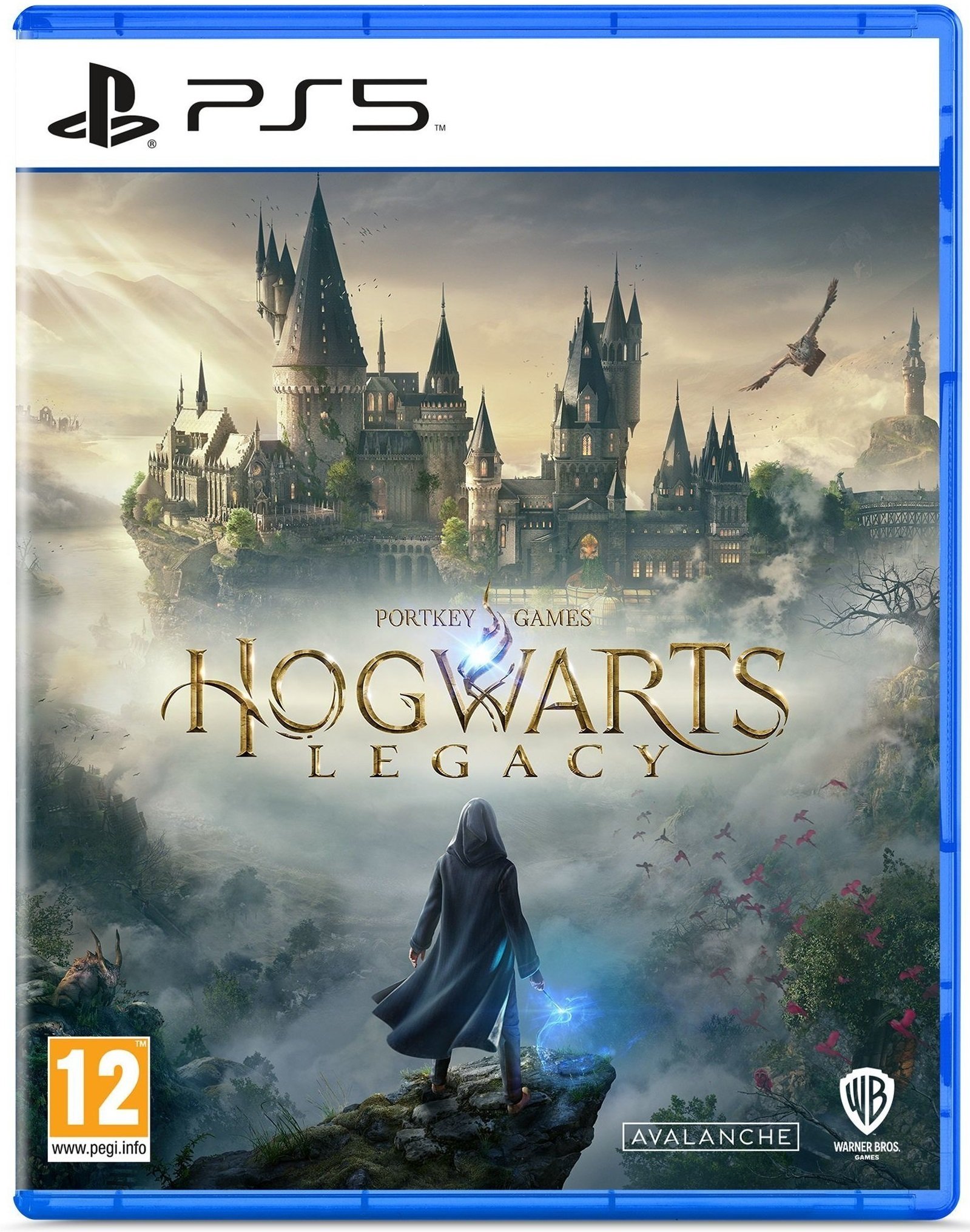 Игра Hogwarts Legacy (PS5, Английский язык)