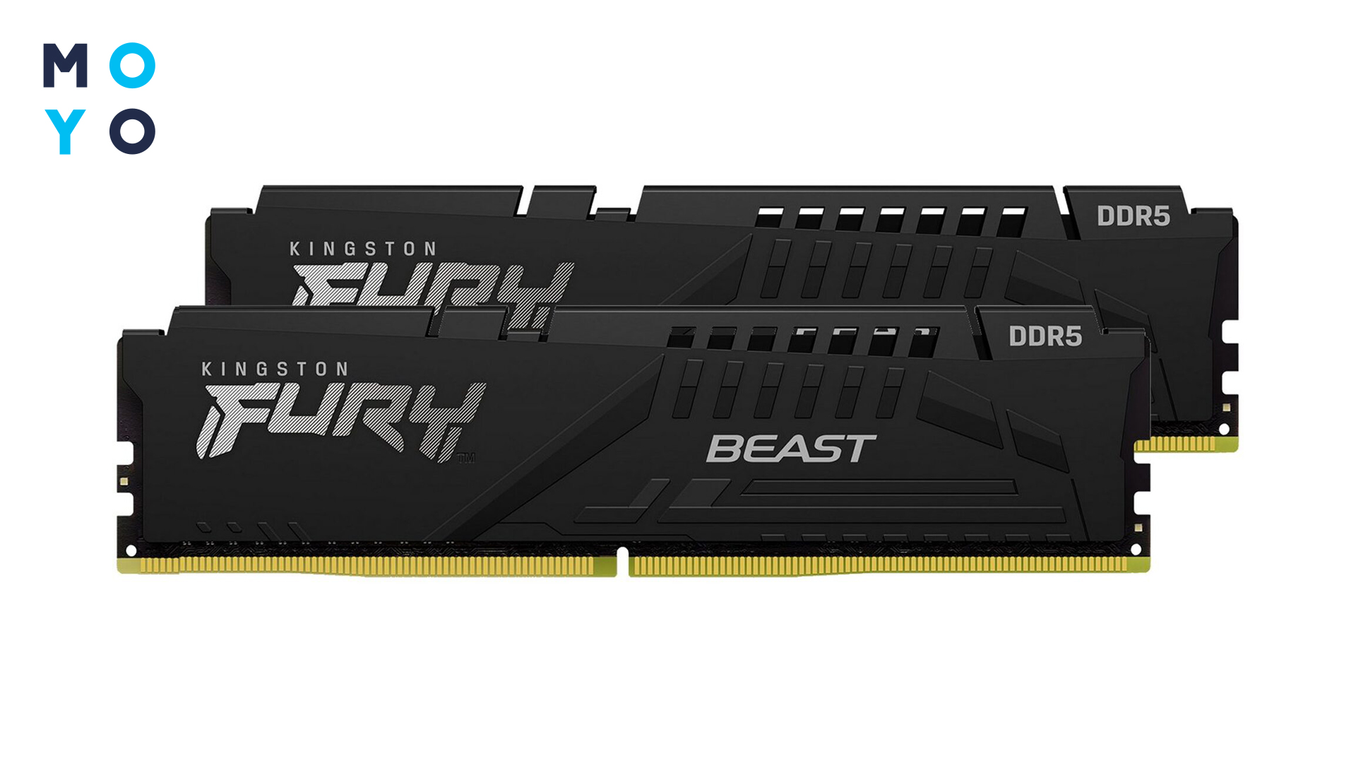ОПЕРАТИВНА пам'ять DDR5 – купити ОЗП ДДР5 в Києві та Україні | Ціни на ...