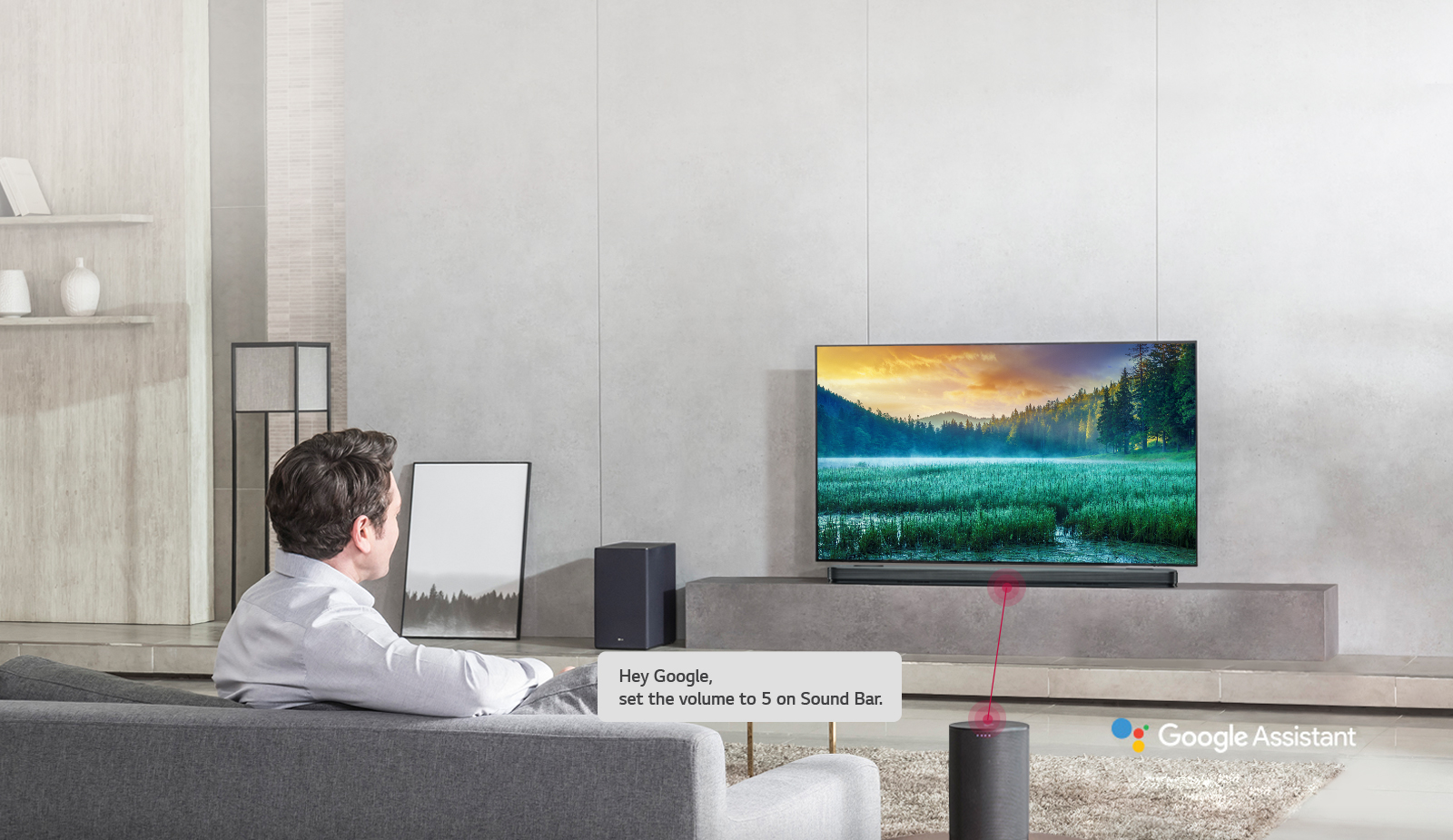 sk9y google assistant