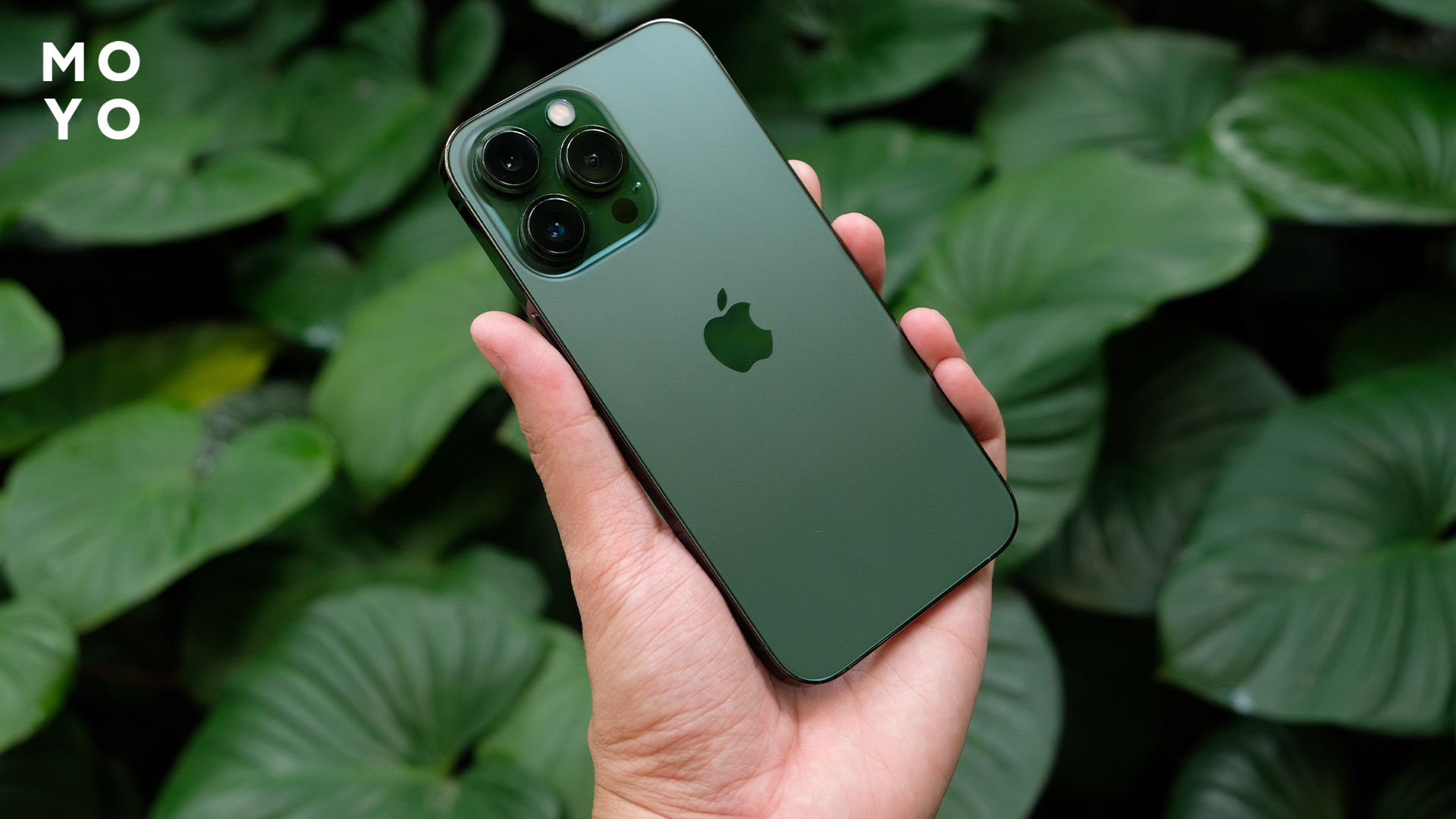 зелений iPhone на тлі природи