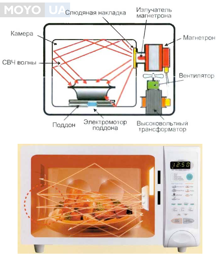 Распространение микроволн в печках СВЧ