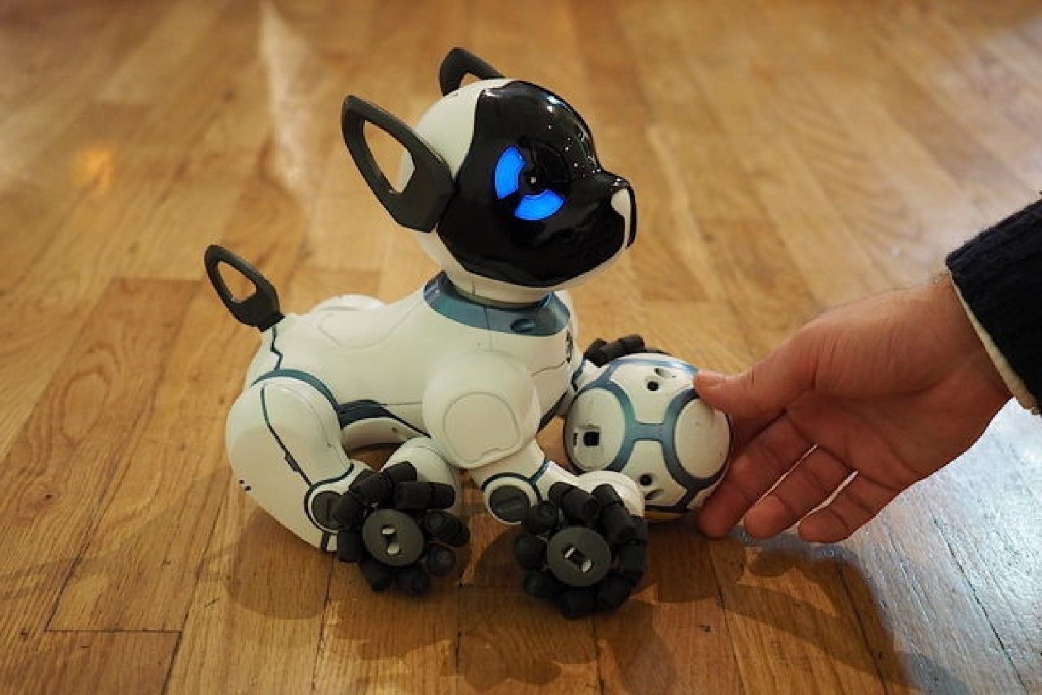 Видео хороших игрушек. Робот собака WOWWEE Chip. Робот WOWWEE собачка чип 0805eu. Робот-собака чип 805 WOWWEE. Робопес далматинец.