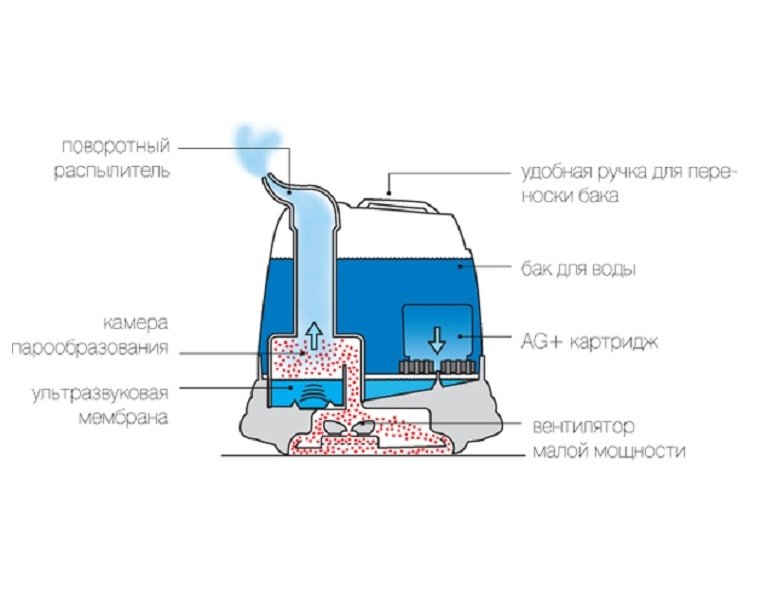 Вода для увлажнителя воздуха. Принцип действия ультразвукового увлажнителя воздуха. Увлажнитель воздуха Boneco 7135 схема электрическая. Устройство увлажнителя воздуха Boneco 7135. Boneco 7135 схема.