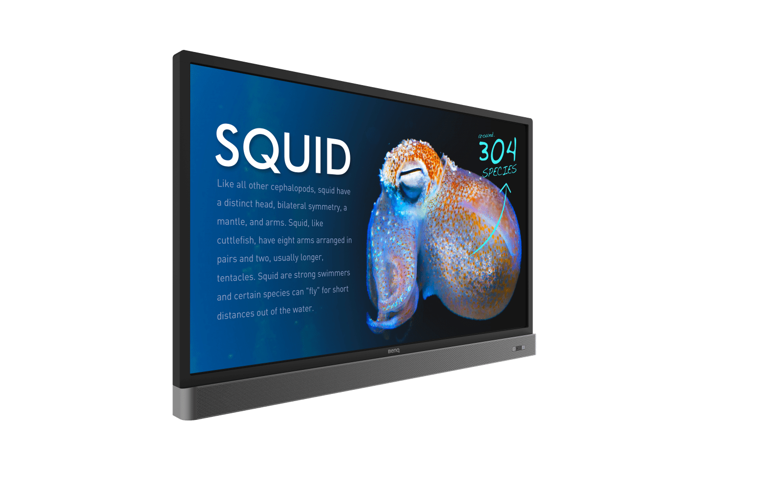 Дисплей 55. Интерактивная панель BENQ il4301.