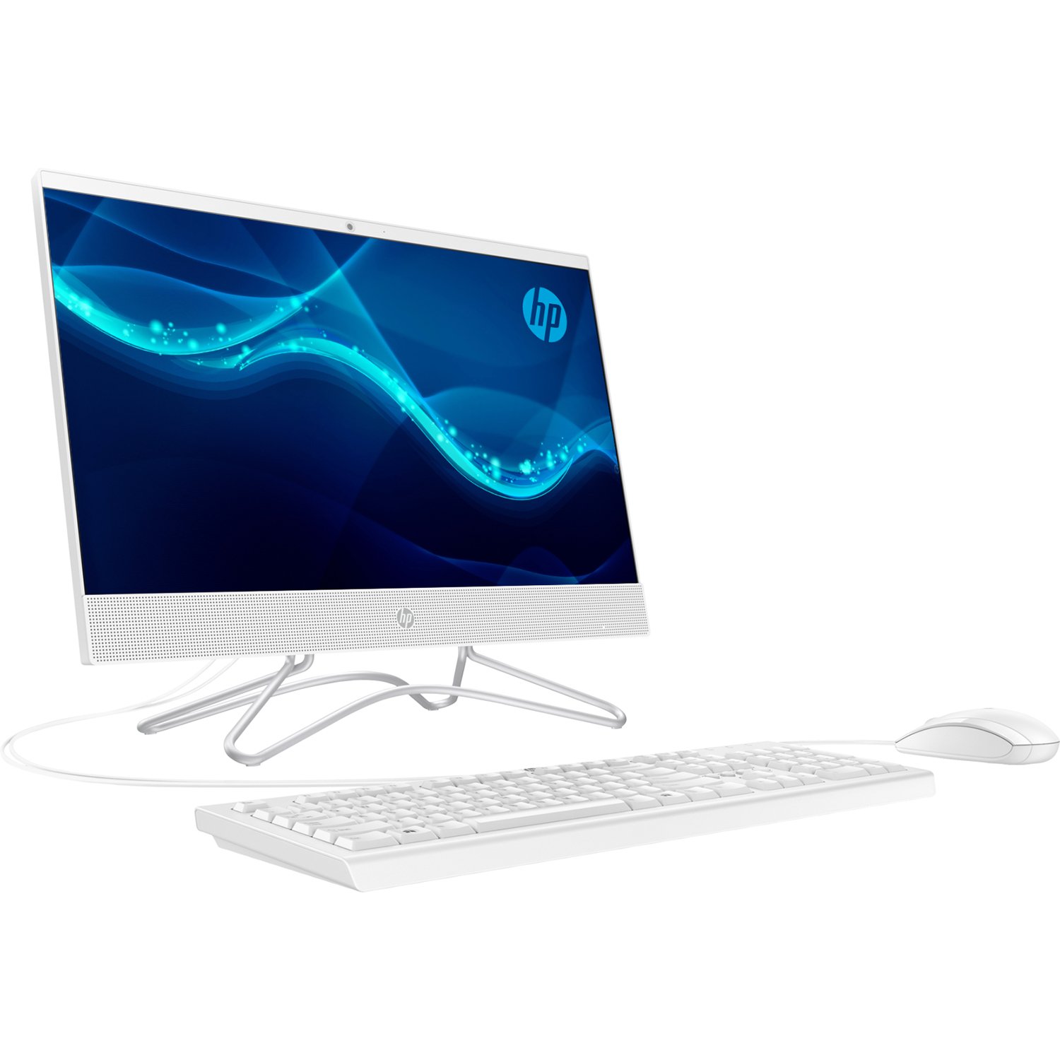 Моноблок HP All-in-One 21.5" (4UD92EA) – купить в Киеве | цена и отзывы ...