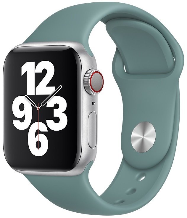 apple watch cactus band