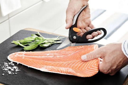 Ножиці для риби Fiskars Form 22см (1003032)фото