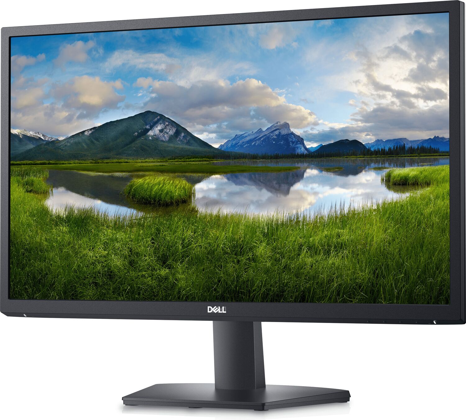 Монитор 24" DELL SE2422H (210-AZGT) – купить в Киеве | цена и отзывы в MOYO