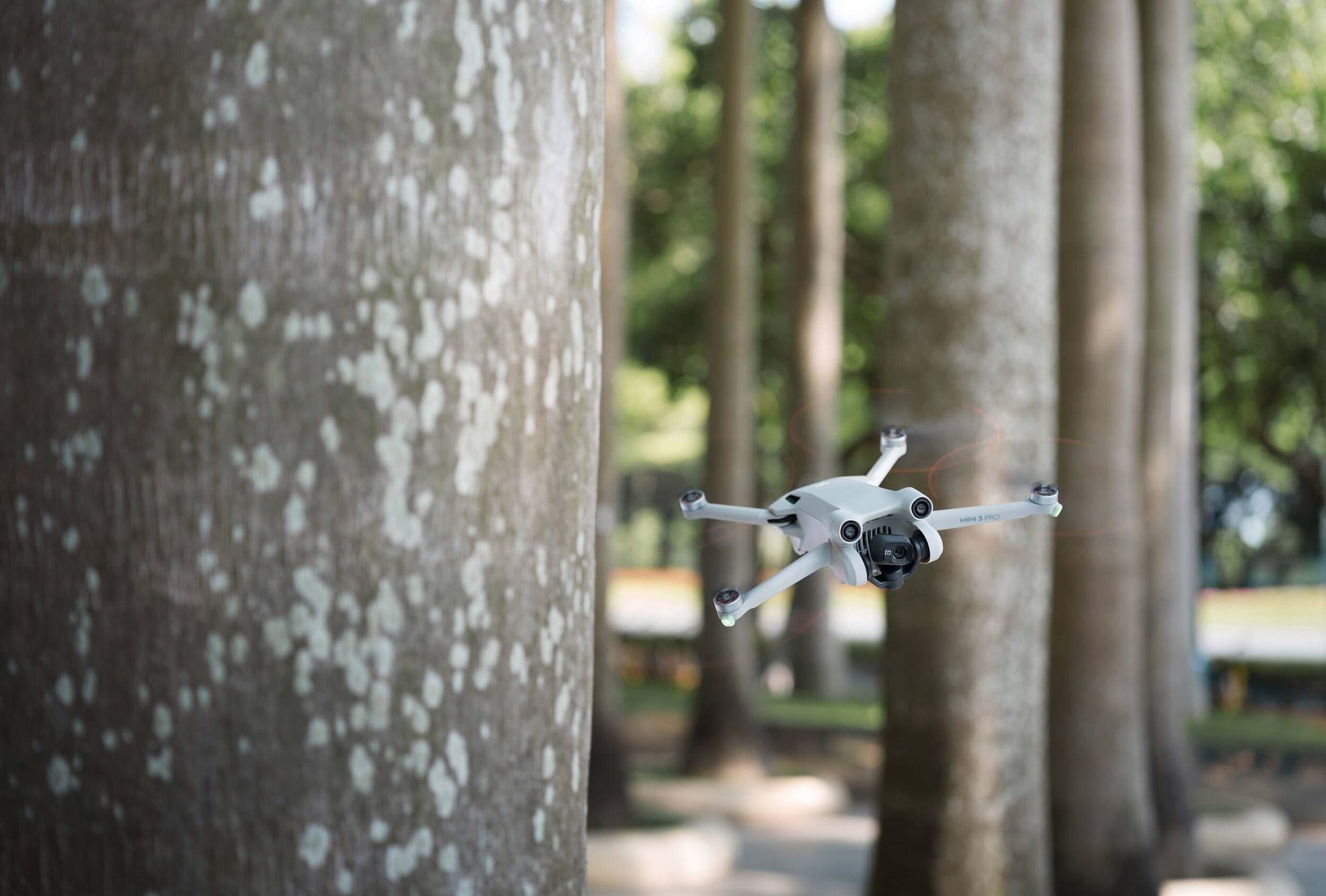 Квадрокоптер DJI Mini 3 Pro + DJI RC (CP.MA.00000492.02) фото 28