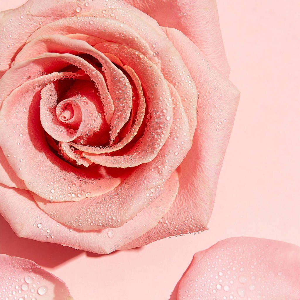 Мицеллярная вода Garnier Skin Naturals с розовой водой Для очищения кожи лица 100мл фото 