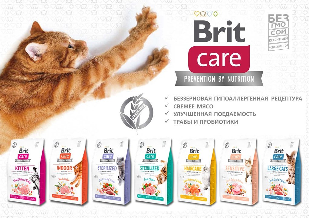 Сухий корм для кішок, які живуть у приміщенні Brit Care Cat GF Indoor Anti-stress з куркою, 0,4 кгфото