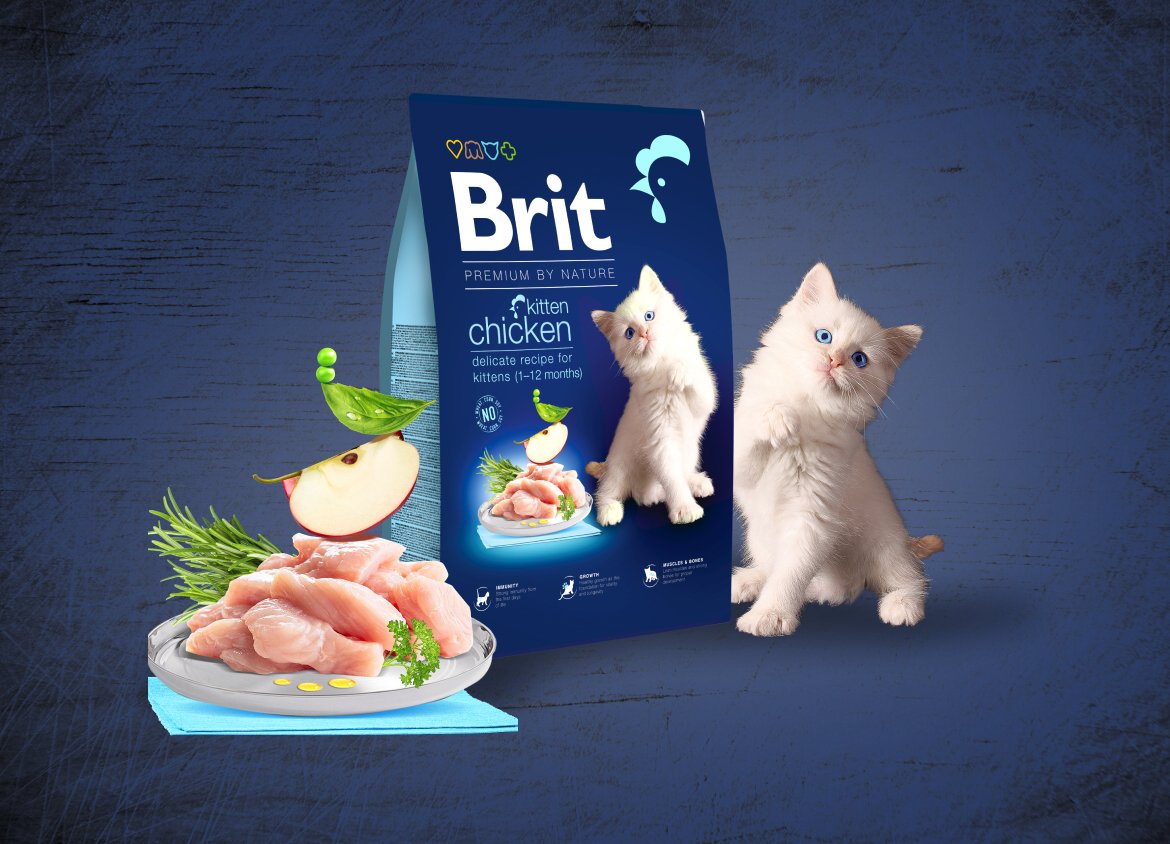 Сухий корм для кошенят Brit Premium by Nature Cat Kitten з куркою 8 кгфото