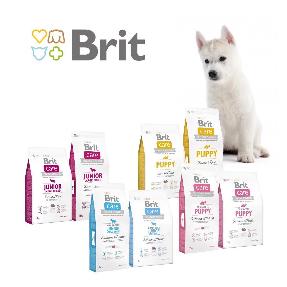 Brit care 2024 puppy large breed