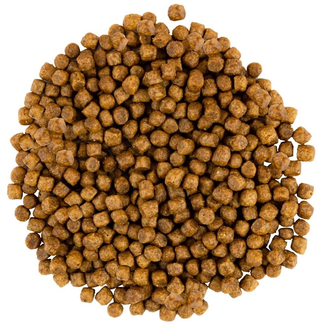 Сухой корм для котят Savory со свежим мясом индейки и курицы 400г ...