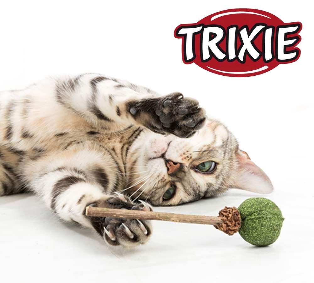Миска для котів Trixie Повільне годування пластик/термопластична гума 0,25 л 21х14 см Сірафото