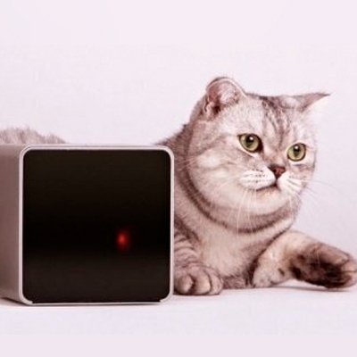 Petcube Camera - гаджет для связи с домашним любимцем