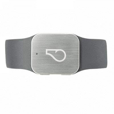 Влагозащищенный GPS-трекер Whistle GPS Pet Tracker: домашнее животное не потеряется