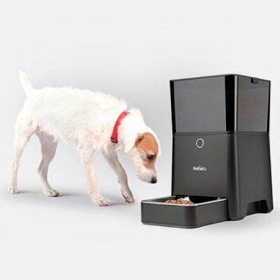 Умная кормушка для кошек и собак Petnet SmartFeeder: животные всегда сыты!