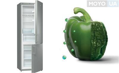 Рейтинг лучших холодильников Gorenje – 10 моделей для выбора