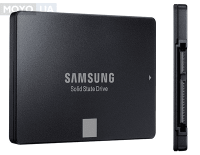 
                ТОП-10 кращих SSD-накопичувачів на 1 Тб - Рейтинг SSD дисків об'ємом 1000 GB 
            