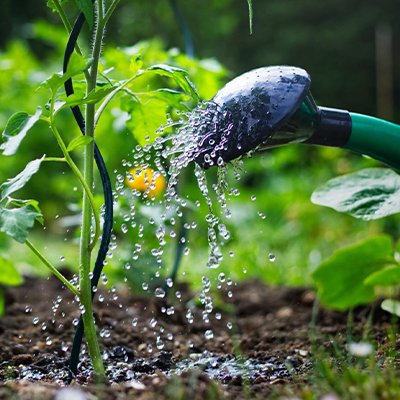 Как сделать капельный полив огорода в домашних условиях — 3 эффективных способа