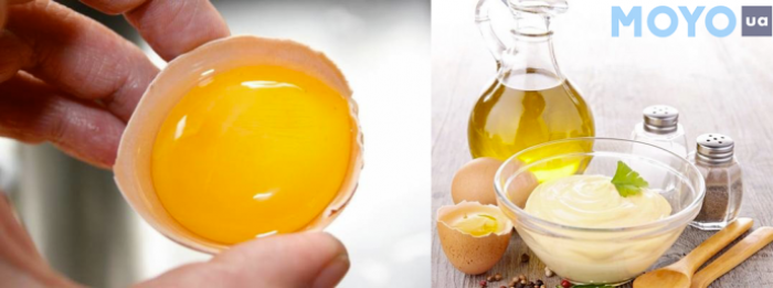  Рецепт майонезу з яєчних жовтків в блендері