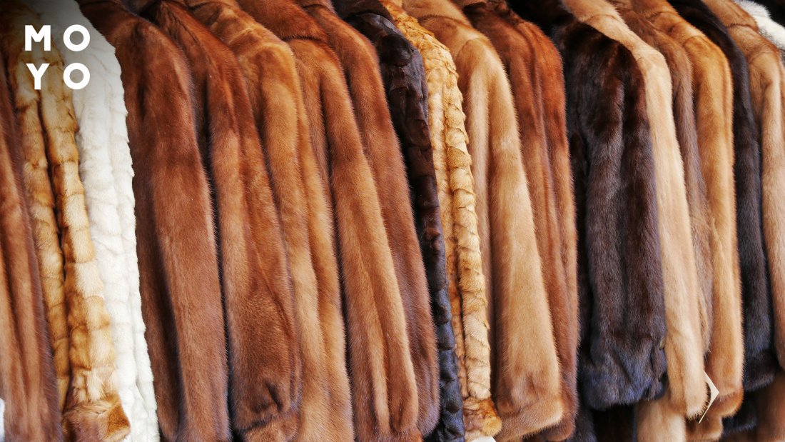 Уход и чистка надувных меховых костюмов (медведи, панды, хаски и т.д.)