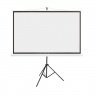 Экран на треноге 4x3 ACER T87-S01MW 174x130 см (MC.JBG11.00F) фото