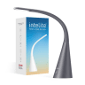 Настільний світильник Intelite Desklamp Iron Grey (DL4-5W-IGR)фото