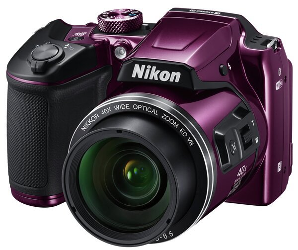 

Фотоаппарат NIKON Coolpix B500 Purple (VNA952E1)