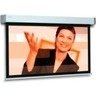 Экран Projecta ProScreen CSR 154x240 см, MW (10200236) фото