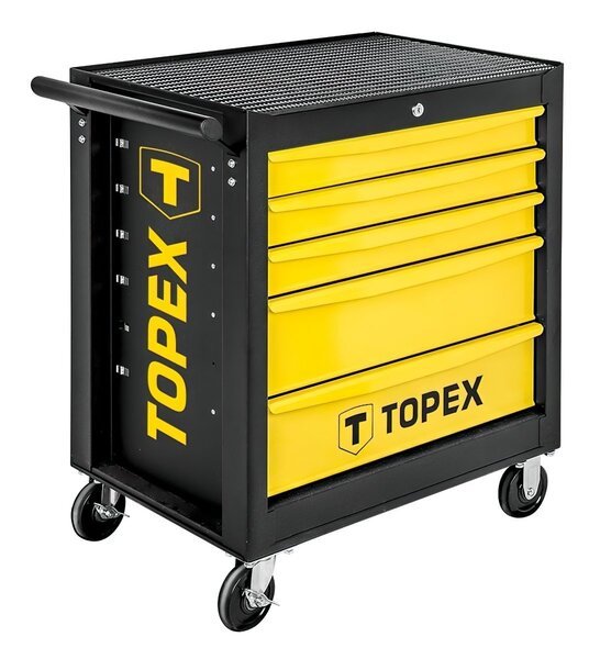 topex    TOPEX (79R501)