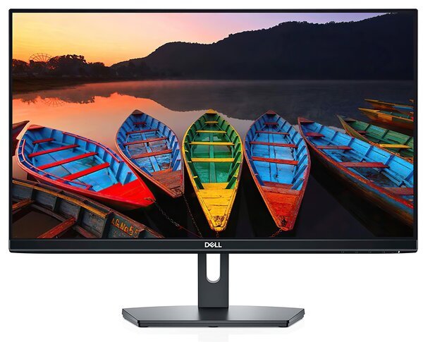 

Монитор 23.8'' DELL SE2419H (210-AQOK)