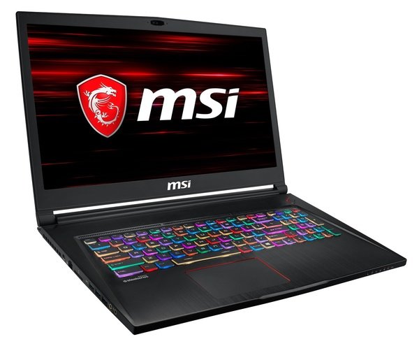 

Ноутбук MSI GS73-8RE (GS738RE-046UA)