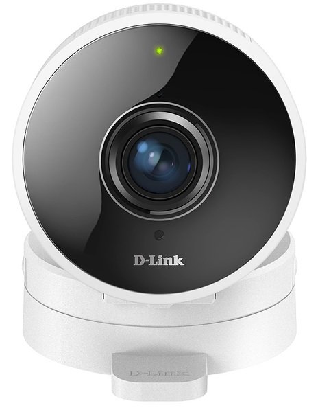 

IP-Камера D-Link DCS-8100LH