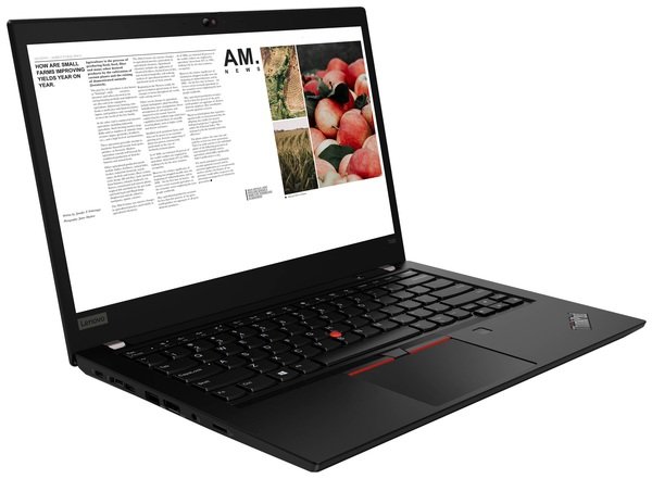 

Ноутбук LENOVO ThinkPad T490 (20N2000CRT)