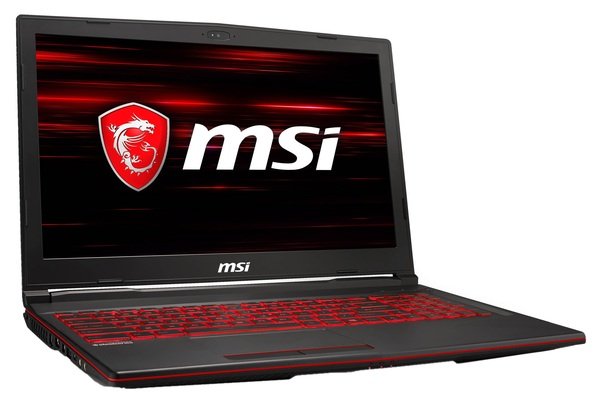 

Ноутбук MSI GL63-8SD (GL638SD-655XUA)