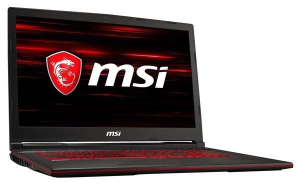 

Ноутбук MSI GL73-8SD (GL738SD-243XUA)