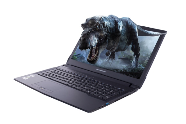 

Ноутбук DREAM MACHINES G1050Ti-15 (G1050TI-15UA40)