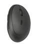 Миша Trust ORBO WL ERGONOMIC BLACK (23002) фото