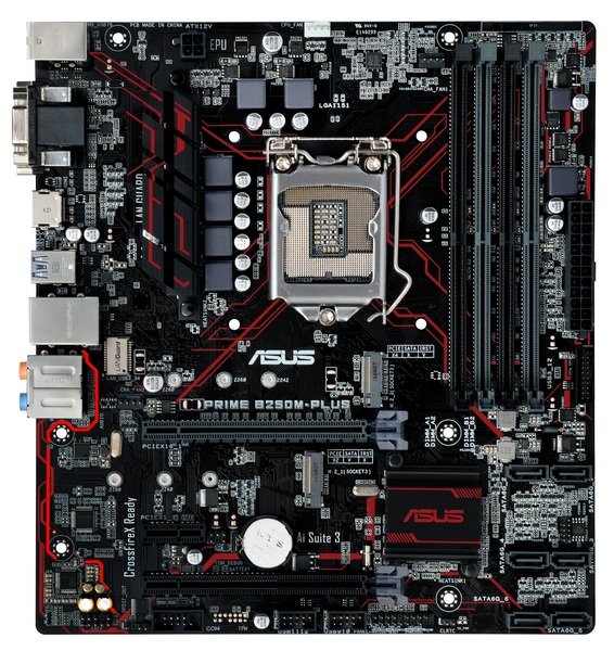 

Материнcкая плата ASUS PRIME B250M-PLUS/C/SI, Bulk