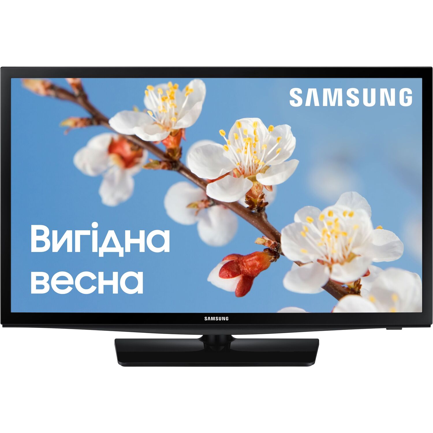 Телевізор Samsung 24N4500 (UE24N4500AUXUA)фото