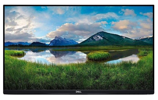 

Монитор 23.8" DELL P2419H (210-APWV) Без подставки