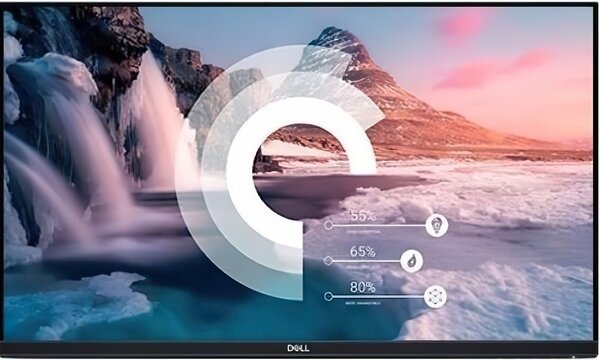 

Монитор 21.5" DELL P2219HWOS (210-APWS) Без подставки