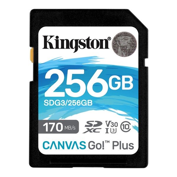 Акція на Карта памяти KINGSTON 256GB SDXC Canvas Go Plus 170R Class 10 UHS-I U3 V30(SDG3/256GB) від MOYO