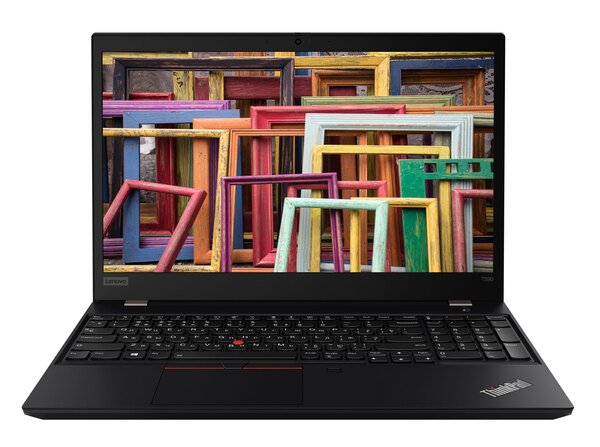 

Ноутбук Lenovo ThinkPad T590 (20N4005ERT)