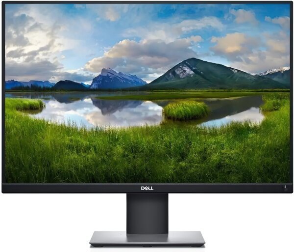 

Монитор 24.1" DELL P2421 (210-AWLE)