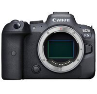 Фотоаппарат CANON EOS R6 Body (4082C044)