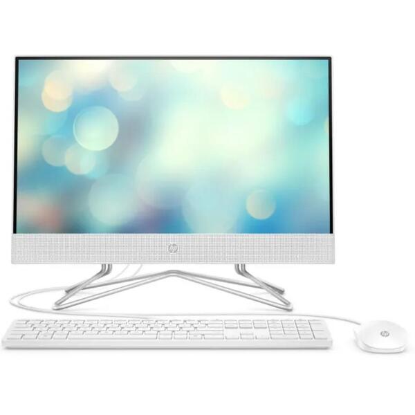 

Моноблок 21.5" HP All-in-One (1G1C0EA)