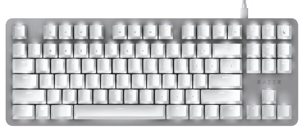 

Игровая клавиатура Razer BlackWidow Lite Orange Switch Mercury US Layout (RZ03-02640700-R3M1)